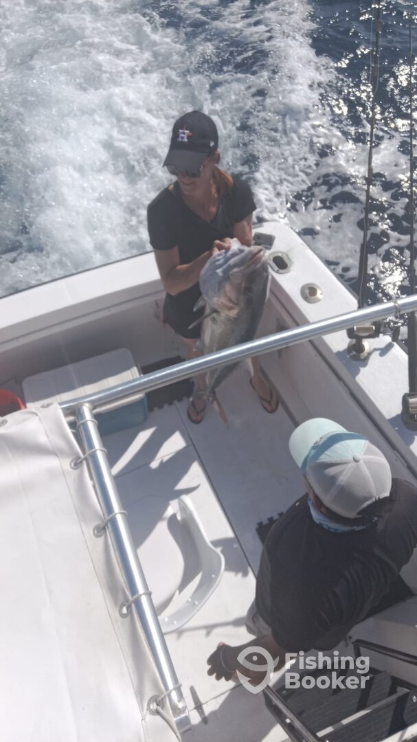 Puerto Morelos Report Photo 0