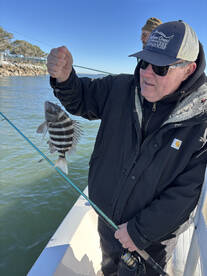 Fripp Island Report Photo 3