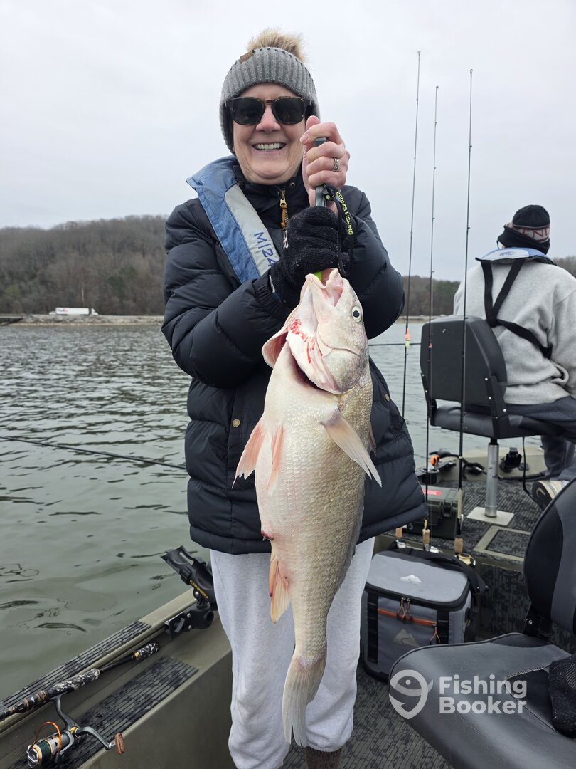 Harrison Report Photo 0