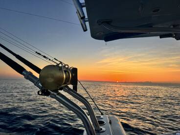 Marathon Report Photo 2