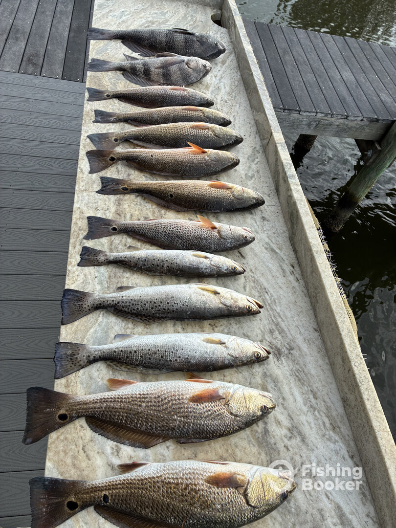 Gulf Shores Report Photo 0