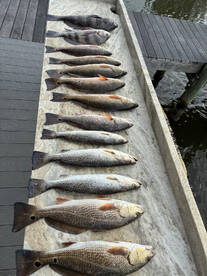 Limit Time = Fresh Fish