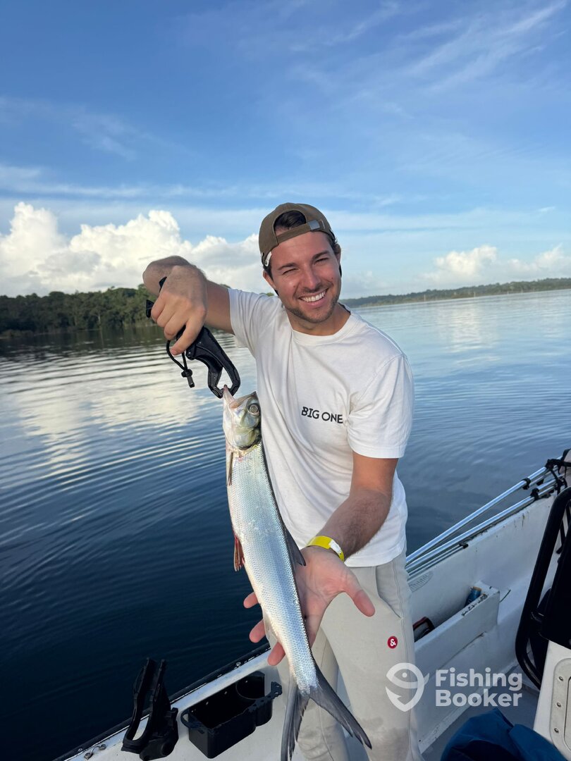 Gamboa Report Photo 0