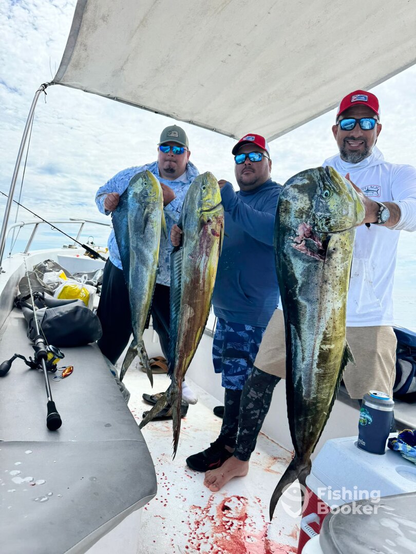 Herradura Report Photo 0