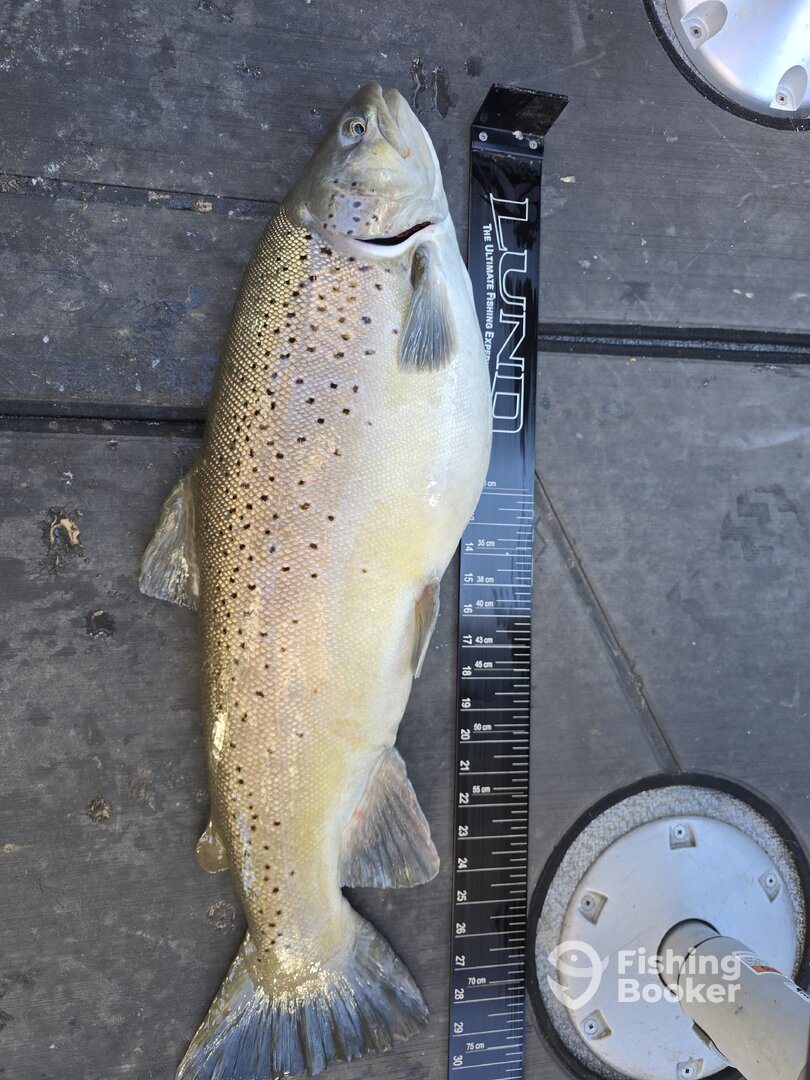 Youngstown Report Photo 0