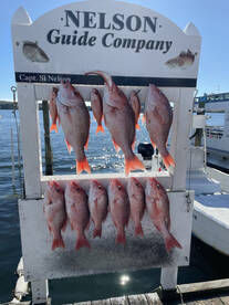 Hot bite out in the cold!