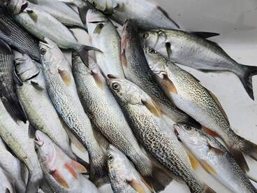 St. Simons Island Report Photo 1