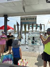 Wahoo, mahi, and black and tuna