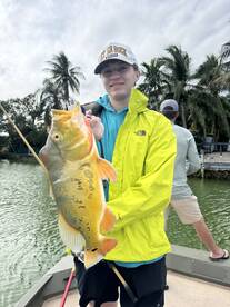 Peacock Bass & Exotics are on fire! 