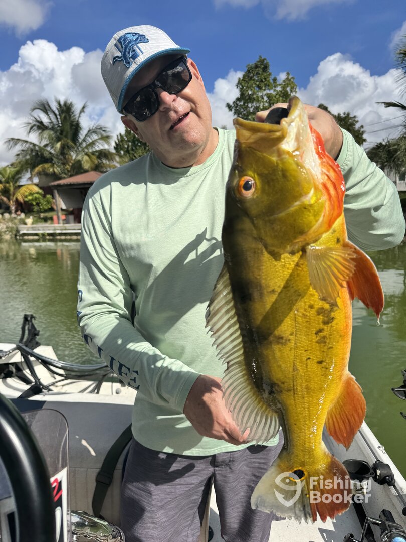 Miami Report Photo 0