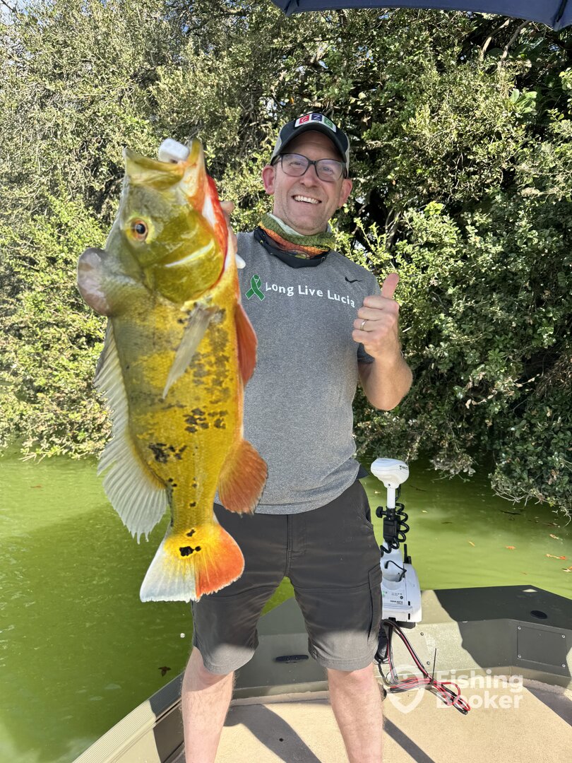 Miami Report Photo 0