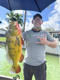 Miami Report Photo 1