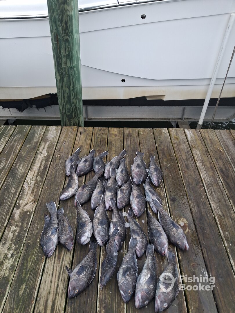 Sneads Ferry Report Photo 0