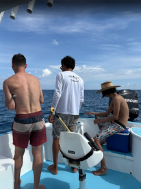 Playa Del Carmen Report Photo 1