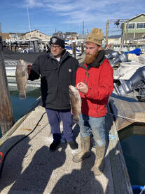 Brigantine Report Photo 2