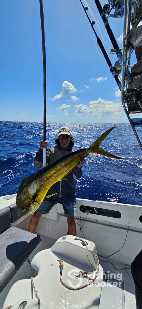 Pointe Aux Biches Report Photo 0