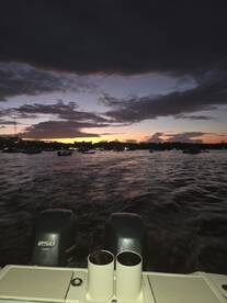 Tamarindo Report Photo 2