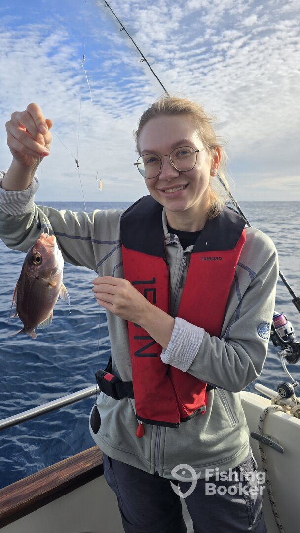 Machico Report Photo 0