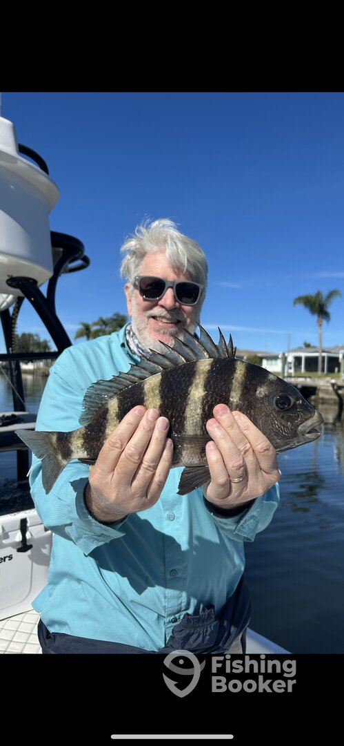 New Port Richey Report Photo 0