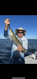 New Port Richey Report Photo 3