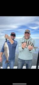 New Port Richey Report Photo 2