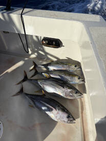 Honolulu Report Photo 2