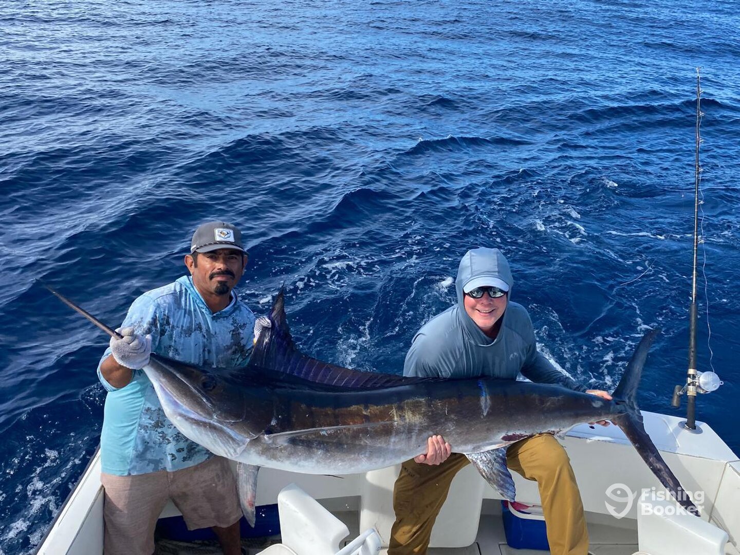 Cabo San Lucas Report Photo 0