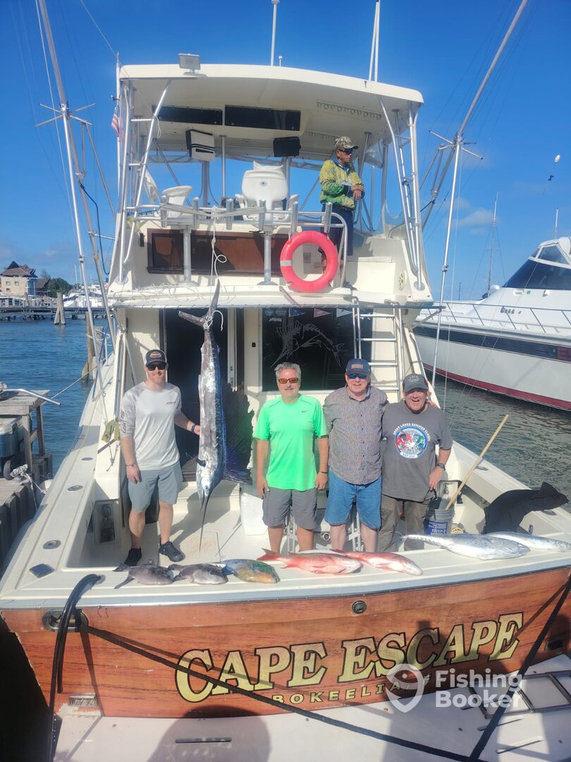 Mareva Fishing Cancun Sailfish