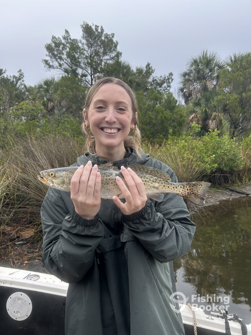 Spring Hill Report Photo 0