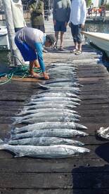 Isla Mujeres bsrracuda fishing