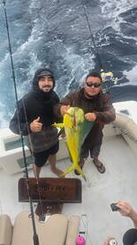 Mahi mahi on the line