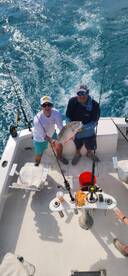 Key West Report Photo 2