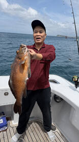 Hauraki Gulf Report Photo 1