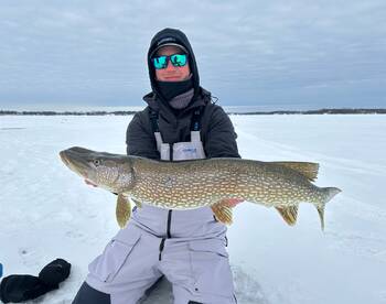 Twin Cities Report Photo 4