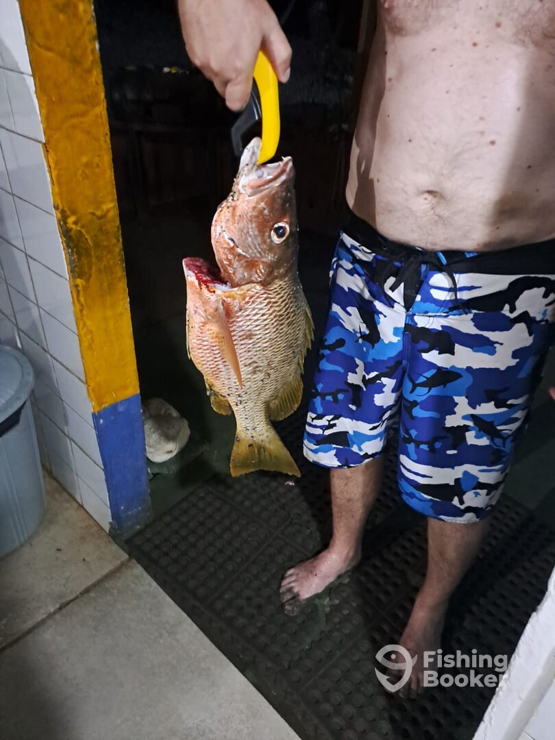 Montijo Report Photo 0