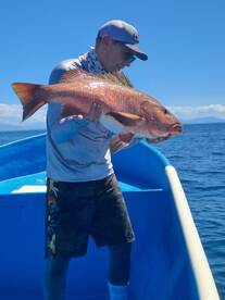 Montijo Report Photo 1