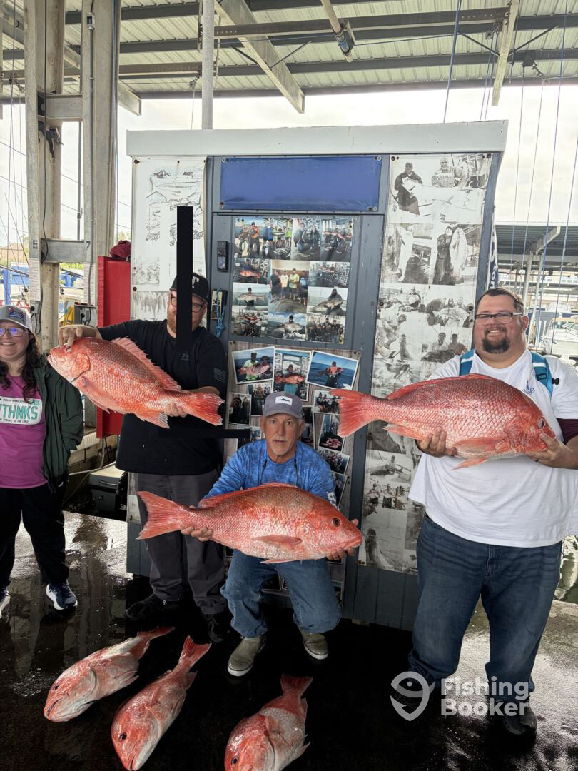 Galveston Report Photo 0