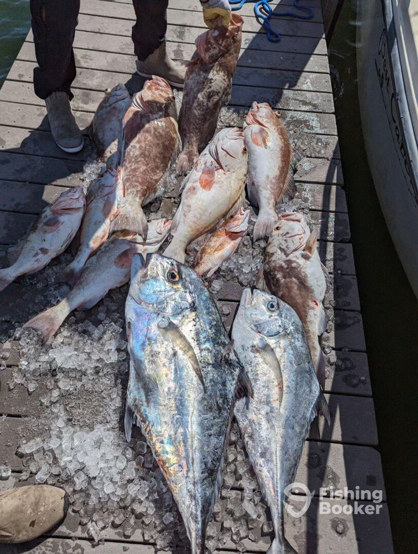 Englewood Report Photo 0