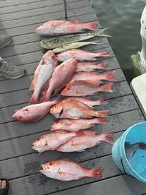 Englewood Report Photo 2