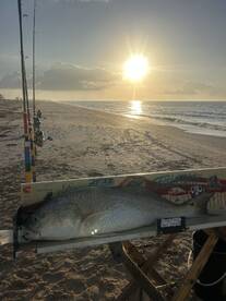 Creole Report Photo 2