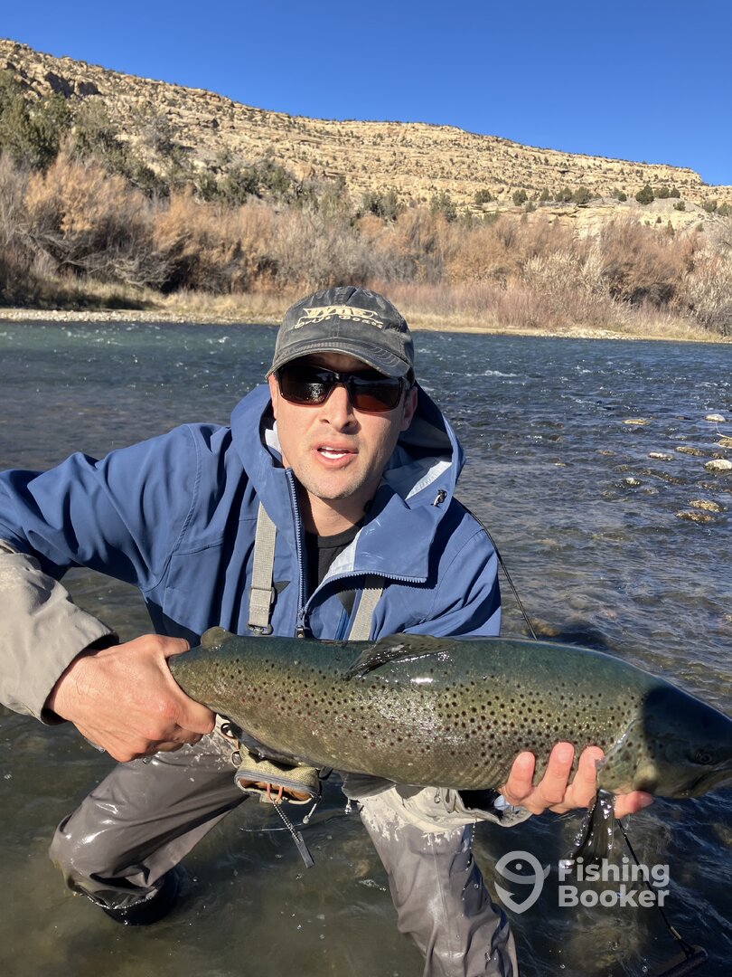 Navajo Dam Report Photo 0