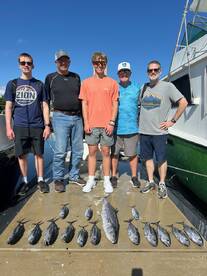 Dania Beach Report Photo 2