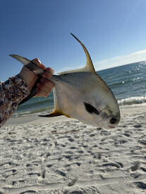 Santa Rosa Beach Report Photo 1