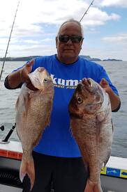 Snapper  moving in great fight good cond