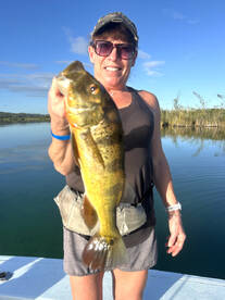 Toa Alta Report Photo 1