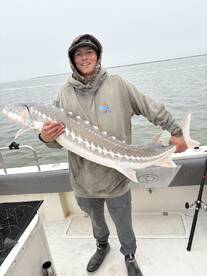 Berkeley Report Photo 1