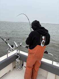 Berkeley Report Photo 2