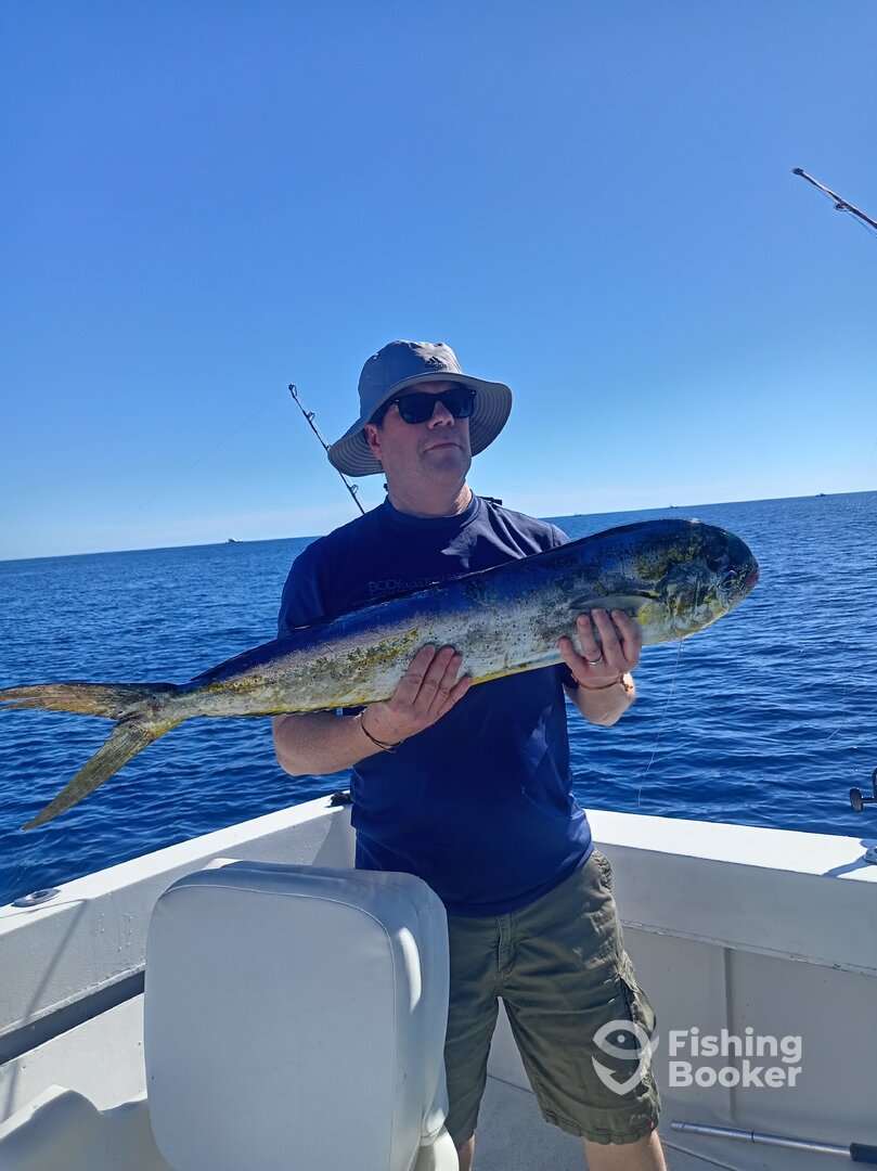 San Jose del Cabo Report Photo 0