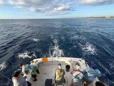 Sunday, November 23, 2025