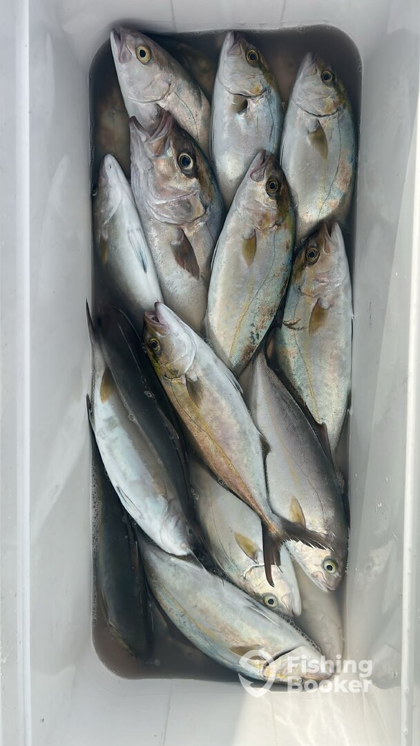 Barcelona Report Photo 0